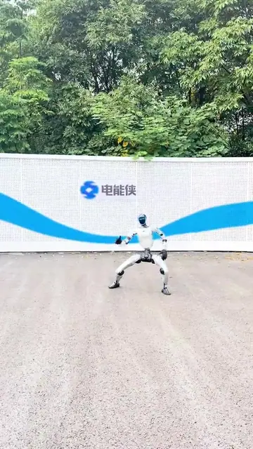 MSL水龙吟动作演示封面