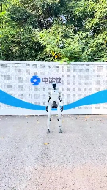 基础拳动作演示封面