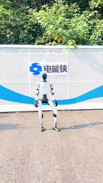 查尔斯顿舞 1动作演示封面