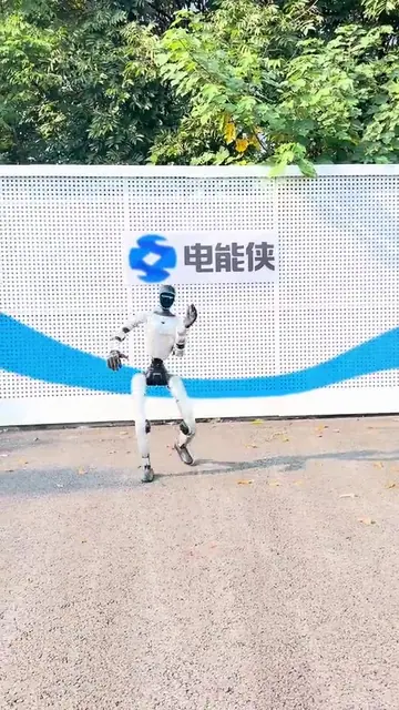 查尔斯顿舞 3动作演示封面