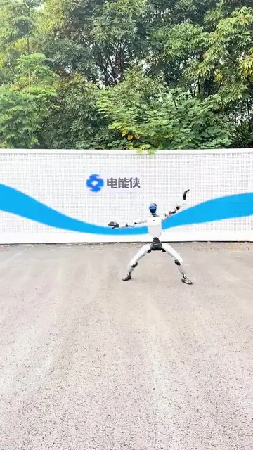 武术 1动作演示封面