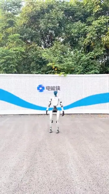 爱情鸟动作演示封面
