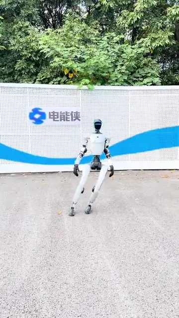 爱情鸟 NB1动作演示封面