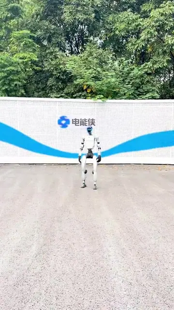 螳螂拳动作演示封面