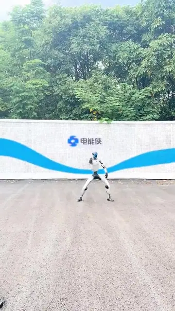 长拳动作演示封面