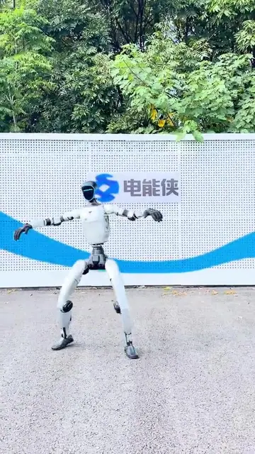Q冰摇动作演示封面
