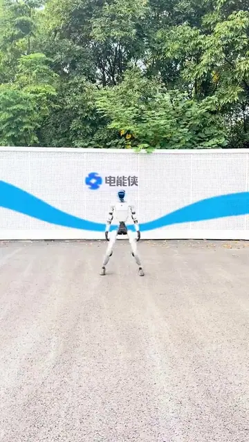 咏春动作演示封面
