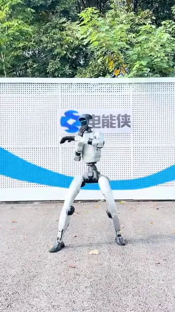 咏春拳动作演示封面