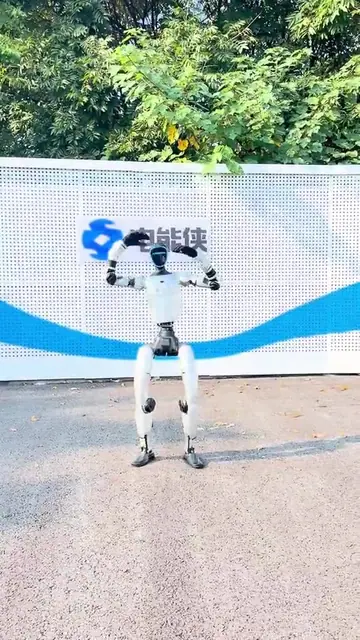 欢呼 2动作演示封面