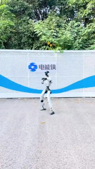 组合拳动作演示封面