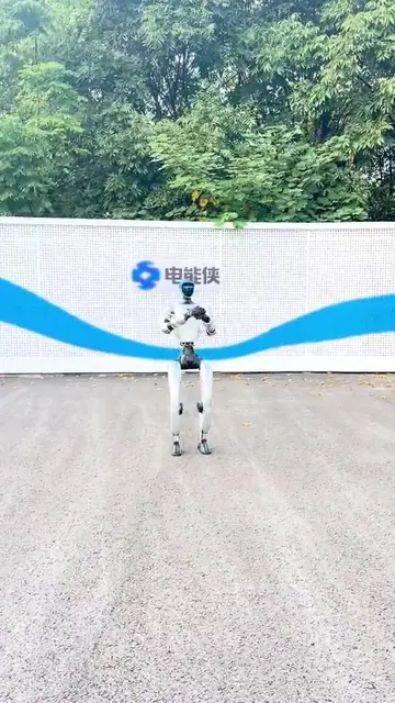 黄梅戏女驸马选段动作演示封面